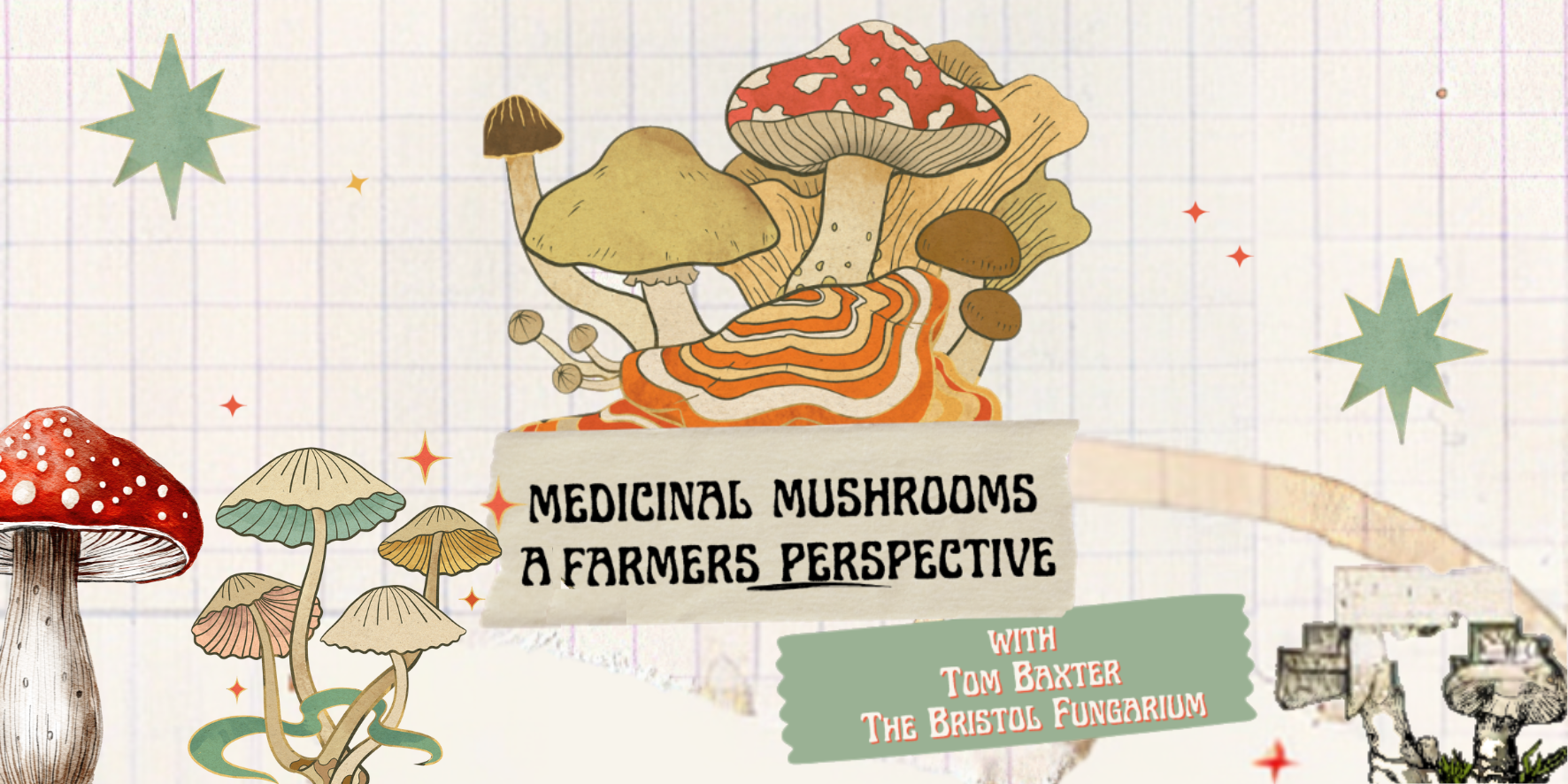 Medicinal Mushrooms: A Farmer's Perspective